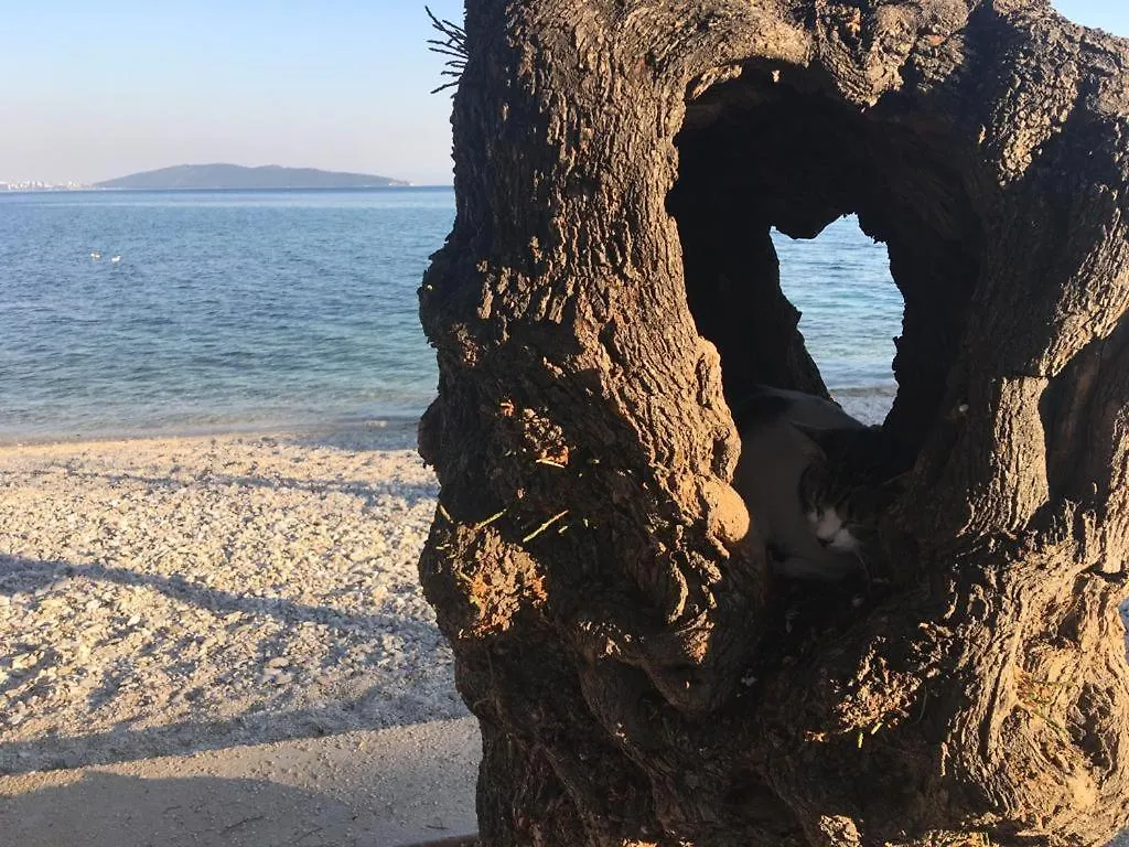 Barba Luka, Near Beach, Beautiful Views Kastela Apartment